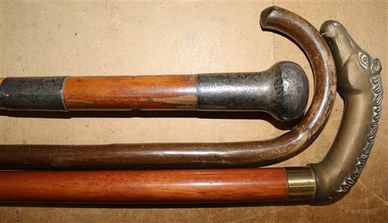 Three walking sticks